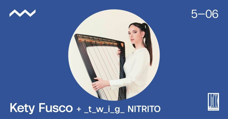 copertina di Kety Fusco + _t_w_i_g_ Nitrito