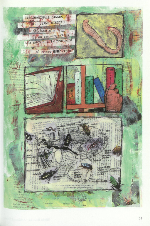 immagine di Conosciamo il verme disicio