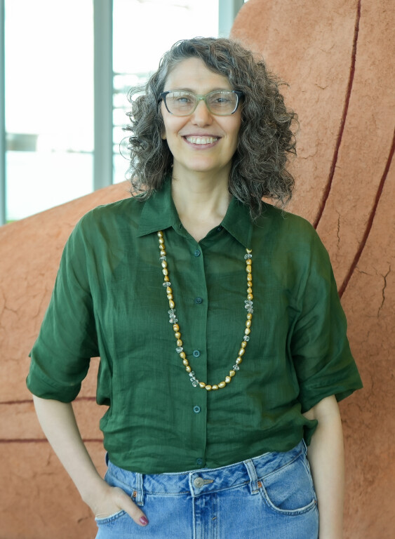 image of La Cruz del Sur