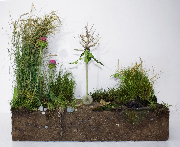 SOLOL'orMa_GallSpazTestoni_Under_2018_scultura realizzata con elementi vegetali resine e pigmenti_59x60x21,5cm.jpg