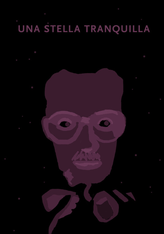 copertina di Una stella tranquilla