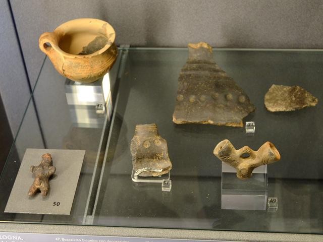 Frammenti di tazze e vasi dell'Età del Bronzo - Villa Cassarini - Museo civico archeologico (BO)