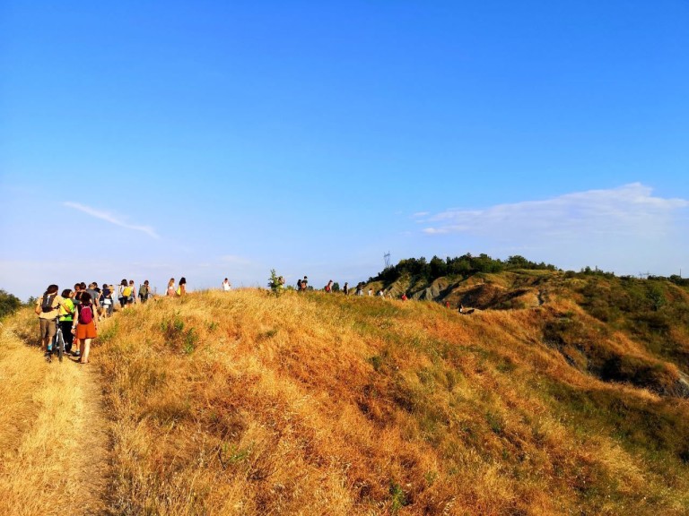 copertina di PAESAGGIO D'INTERNI / Balletto Civile