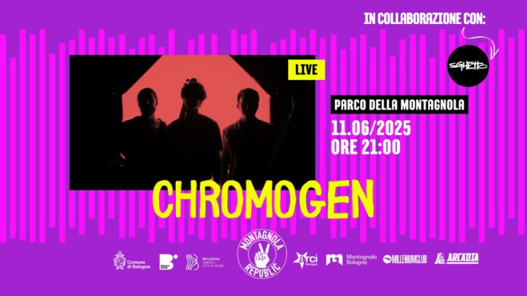 cover of Chromogen