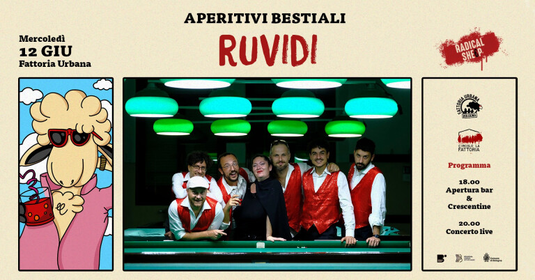 cover of I Ruvidi