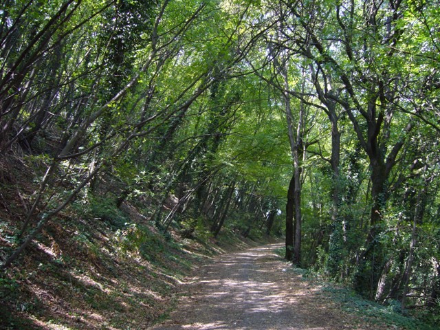 Parco di Paderno - la strada verso la sommità della collina