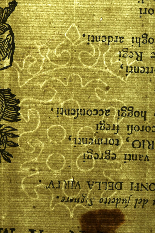 image of ID. 69 stemma Medici