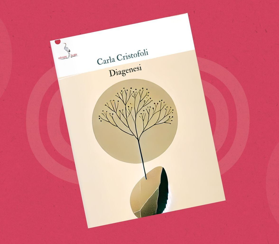 copertina di Diagenesi