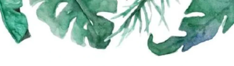 immagine di Apertura stagno didattico WWF - 2026