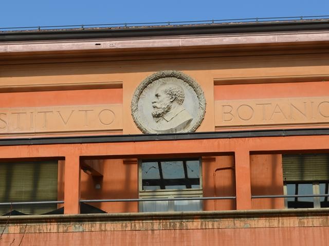L'effige di Ulisse Aldrovandi sulla facciata dell'Istituto botanico 