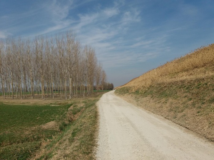 copertina di Paesaggio storico e civiltà contadina