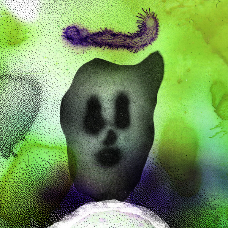 copertina di In the garden