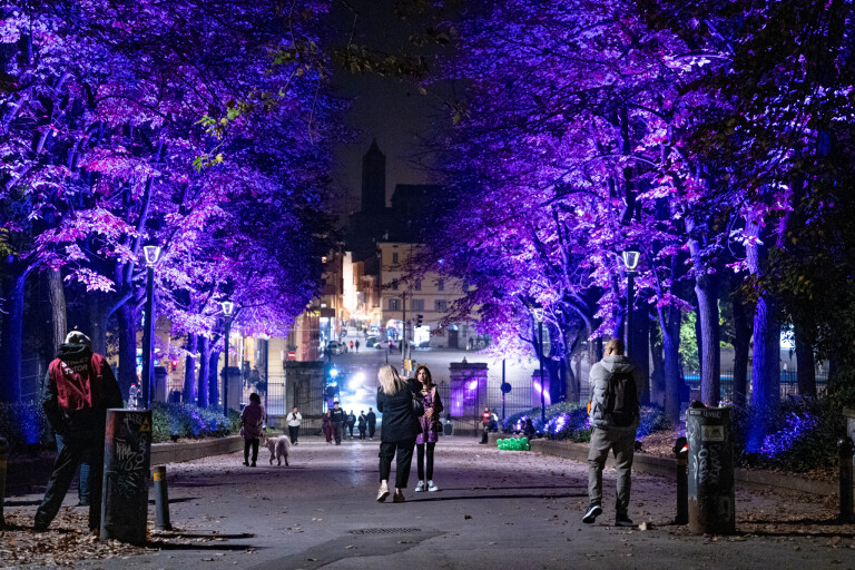 immagine di ART CITY si tinge di fucsia: le iniziative del Piano della Notte al parco della Montagnola e in piazza Verdi.