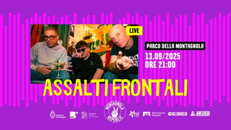 cover of Assalti Frontali