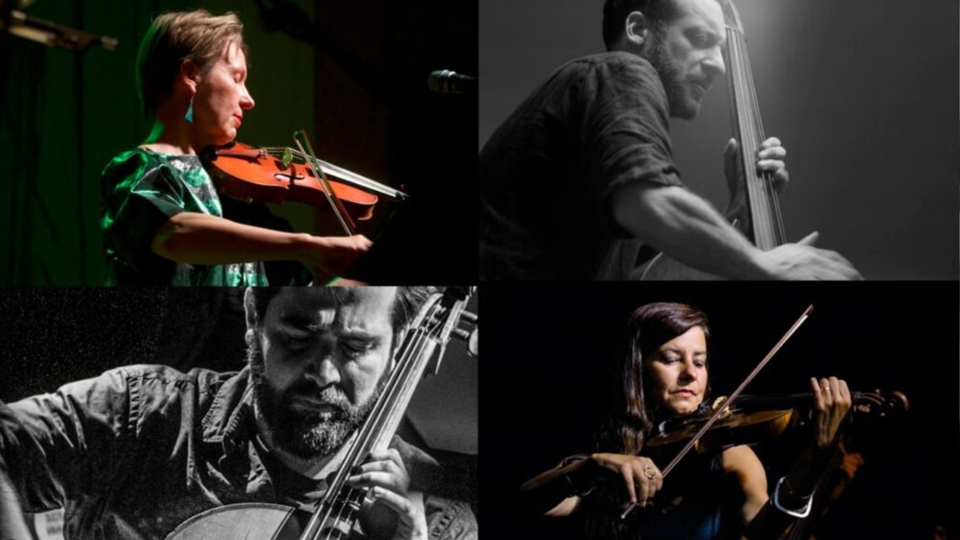 cover of Malacoda string 4et 