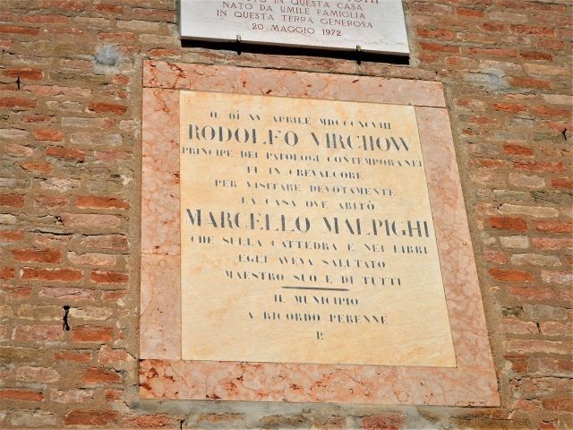 Abitazione di Marcello Malpighi
