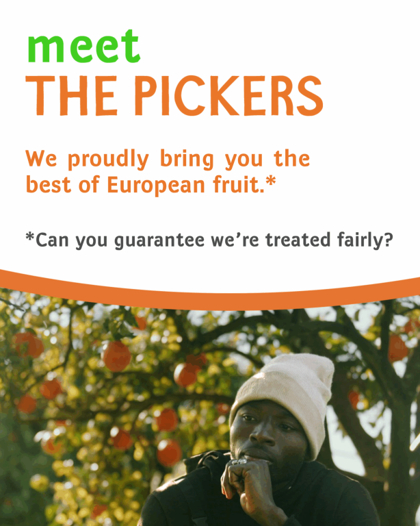 cover of The Pickers