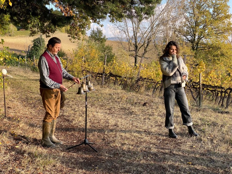 copertina di Le vie degli alberi