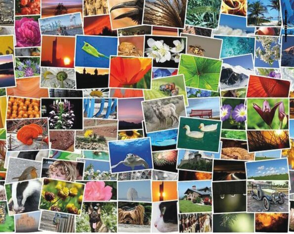 immagine di Trasforma e immagina