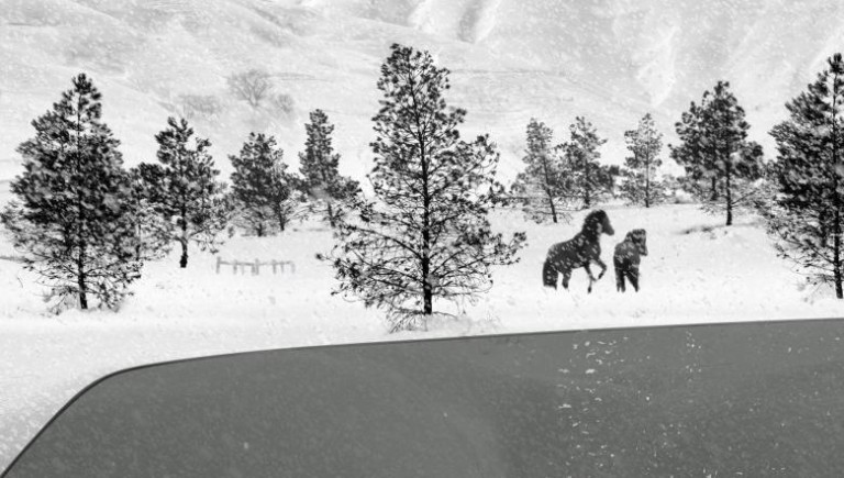 24_frames_kiarostami.jpg