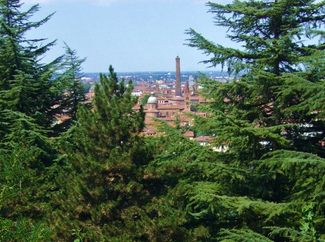 La collina di Bologna