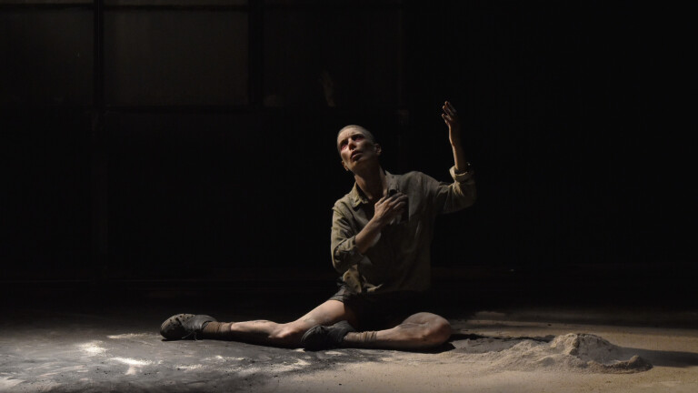 copertina di Visioni e trasfigurazioni