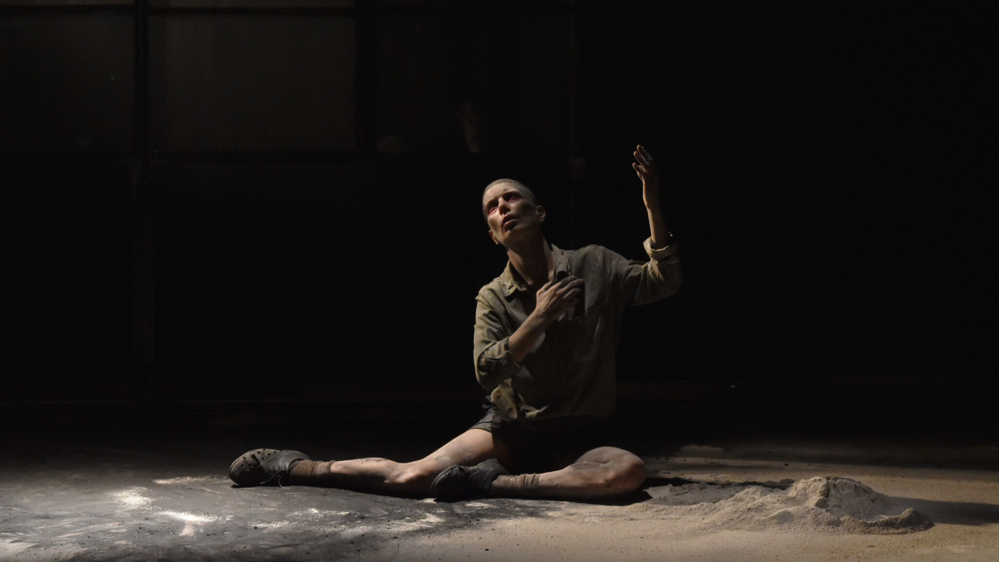 copertina di Visioni e trasfigurazioni