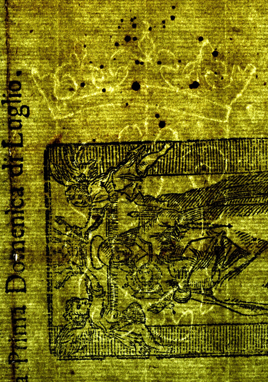 image of ID. 70 stemma Medici