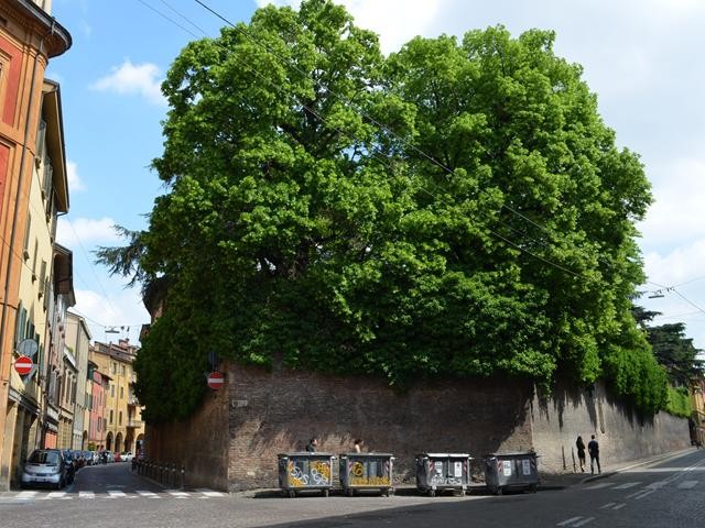 Reale Collegio di Spagna