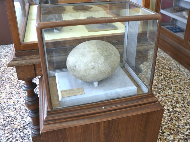 Collezione di Geologia "Museo Giovanni Capellini"