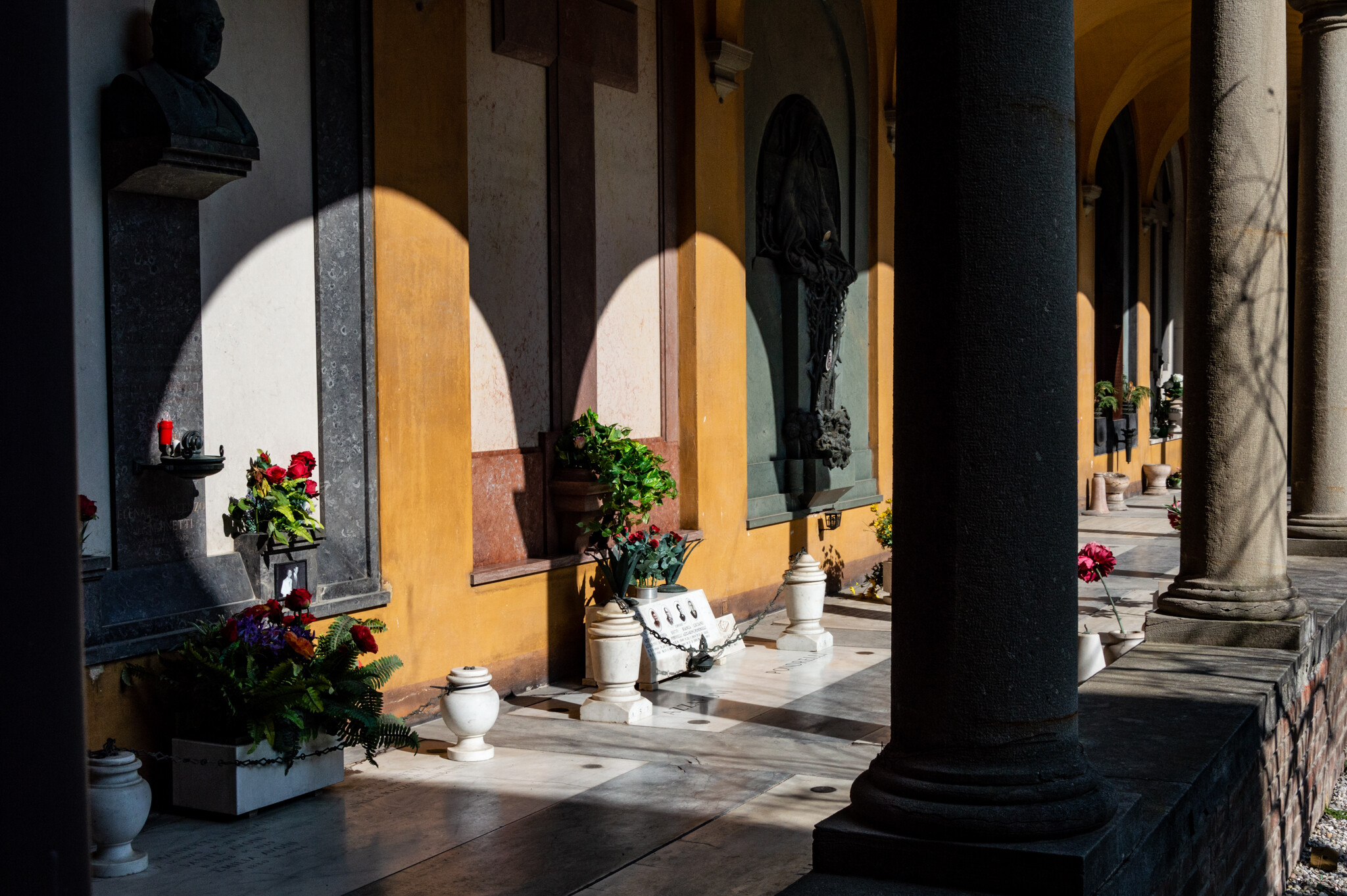 copertina di Visita biografica al più grande monumento di Bologna