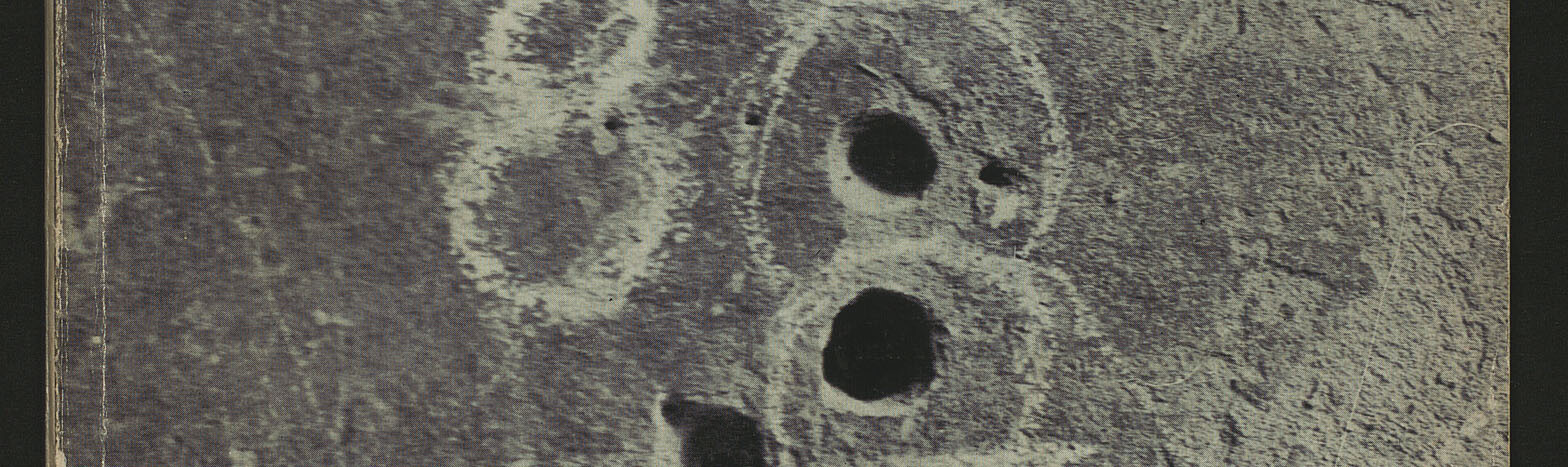 copertina di Il Cerchio di gesso