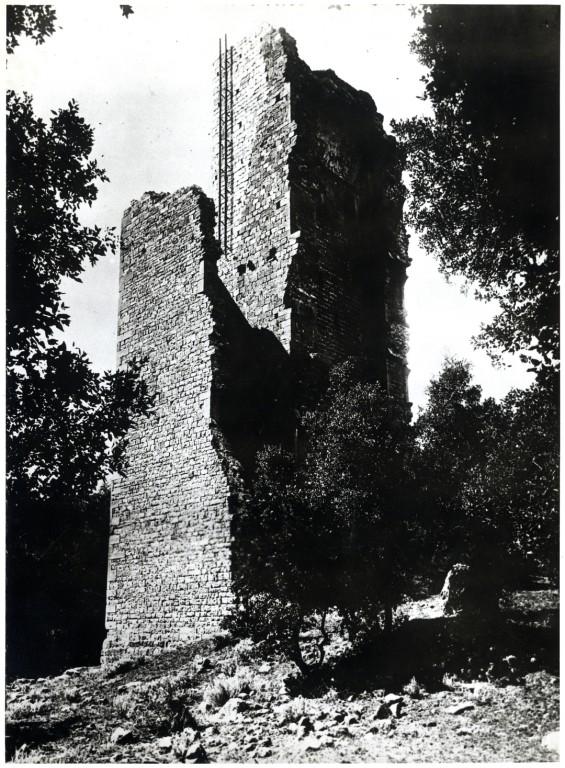 copertina di La torre di Donoratico in Maremma