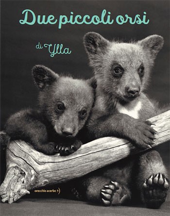 copertina di Due piccoli orsi
