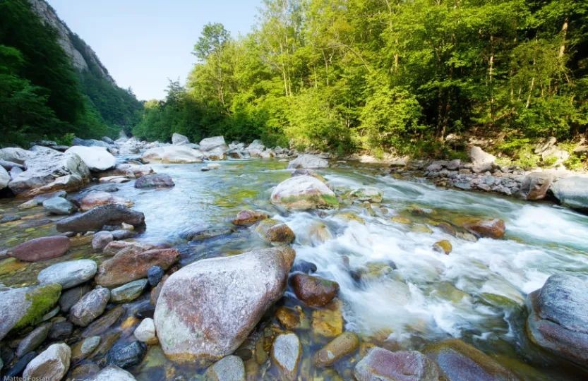 copertina di In mezzo scorre il Fiume