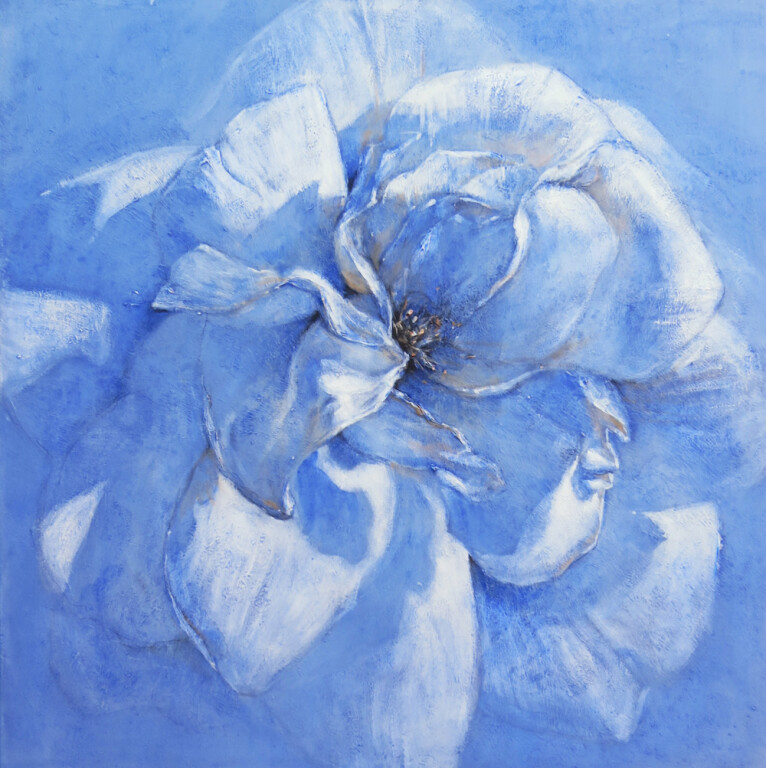 cover of Affioramenti