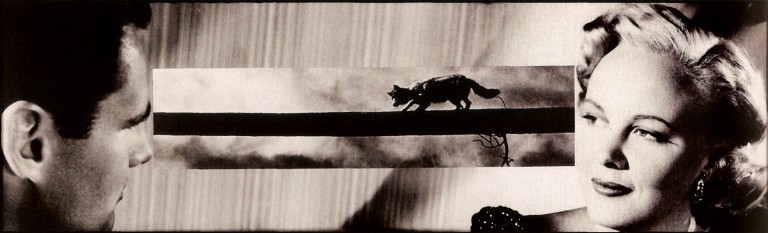 La Morte o la fanciulla_F&A_opera di Baldessari.jpg