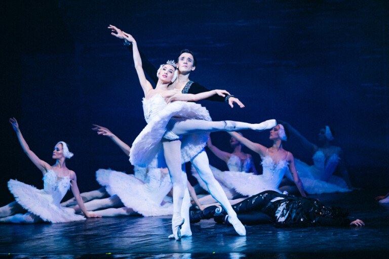 couverture de Il lago dei cigni 