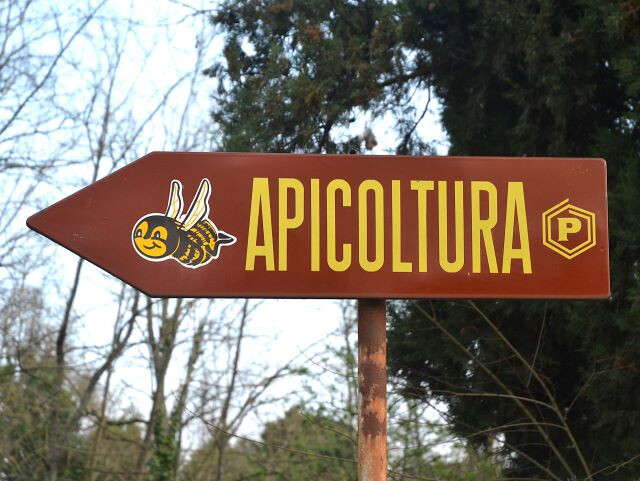 Apicoltura Piana