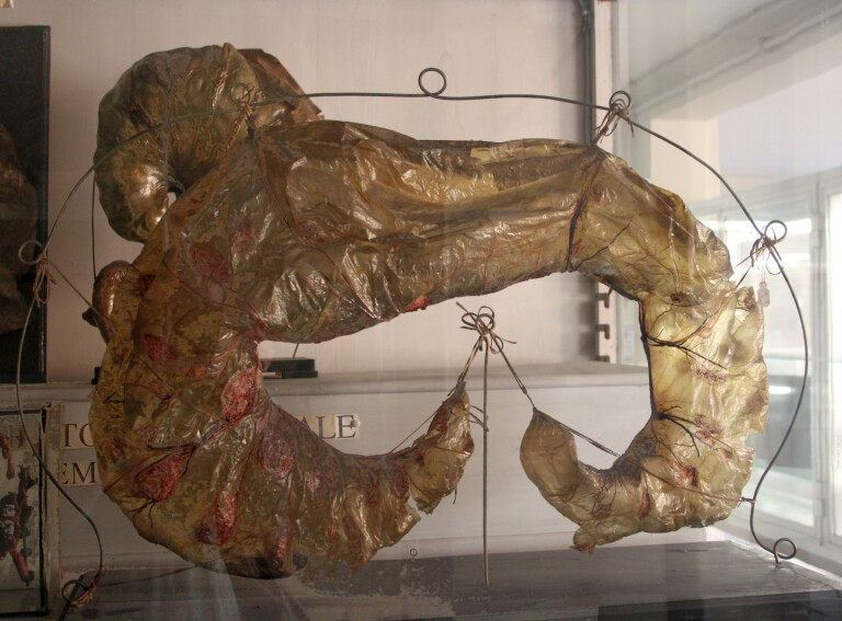 immagine di Alla ricerca del DNA