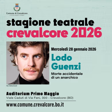 copertina di MORTE ACCIDENTALE DI UN ANARCHICO