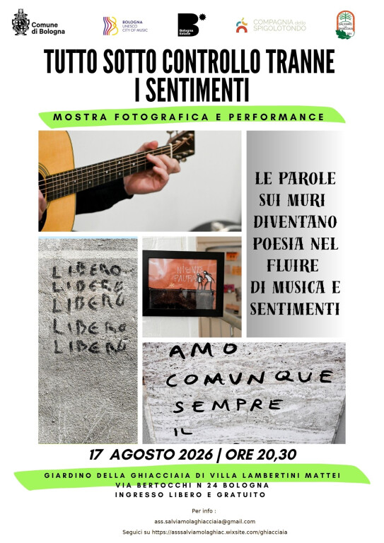 immagine di Tutto sotto controllo, tranne i sentimenti 