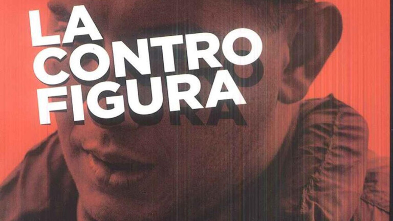 immagine di La controfigura