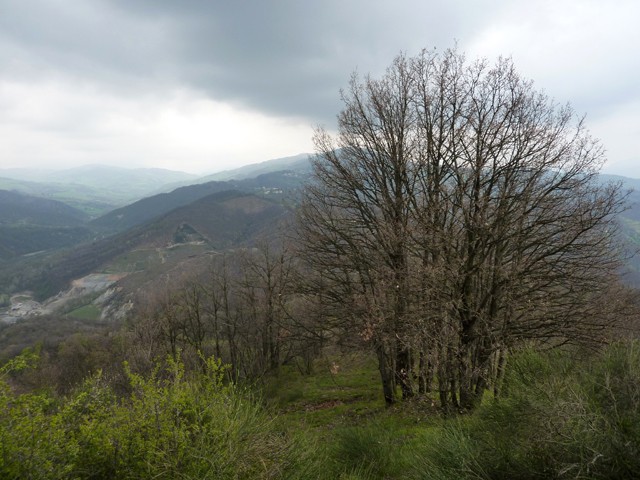Il crinale tra le valli del Savena e del Setta visto da Monterumici