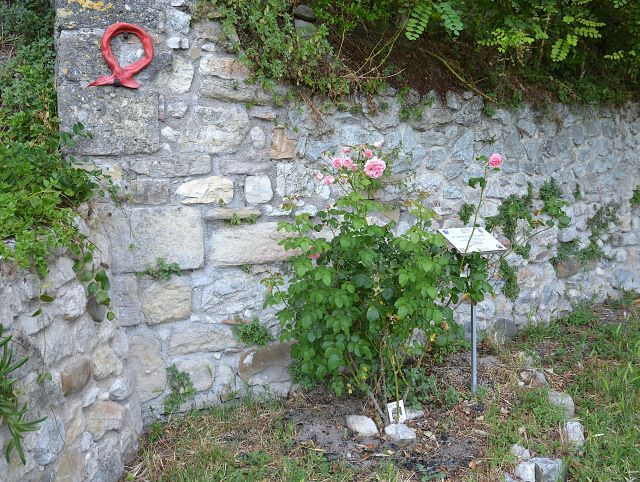 Progetto "Una rosa per Anita"