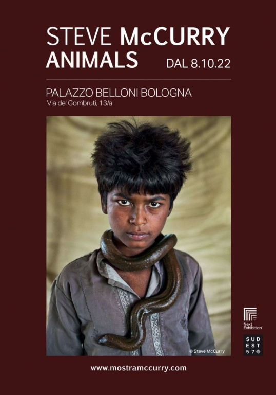 cover of Steve McCurry - Animals