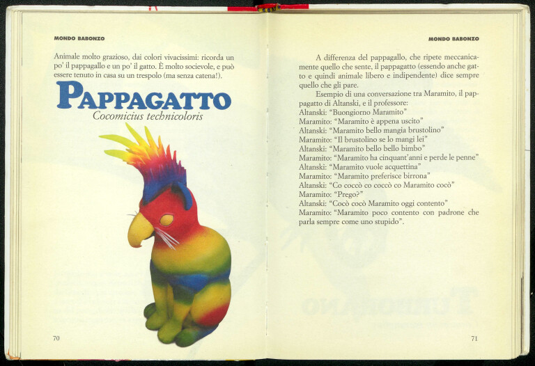 image de Il pappagatto