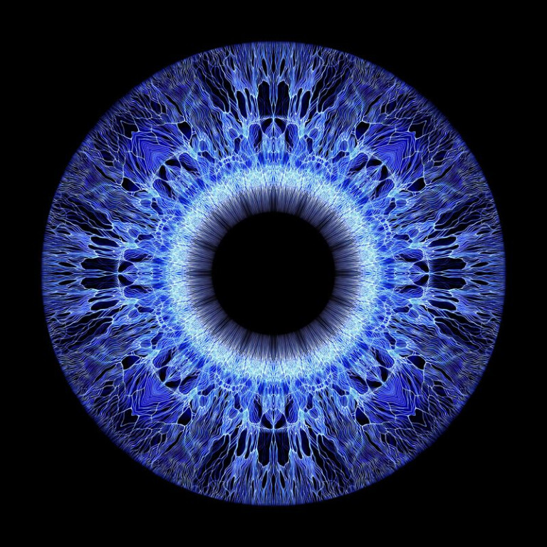 copertina di EXITUS-REDITUS