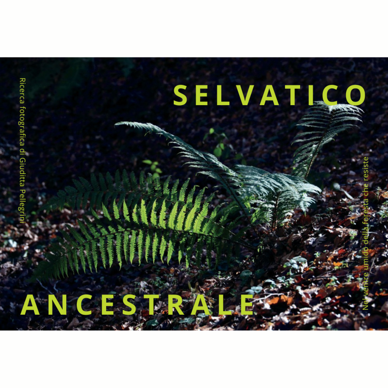 copertina di SELVATICO ANCESTRALE