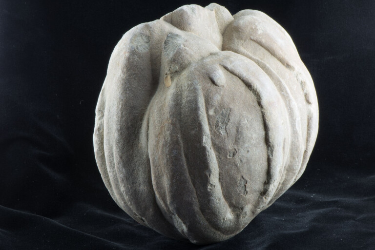 copertina di Collezione di Mineralogia "Museo Luigi Bombicci"